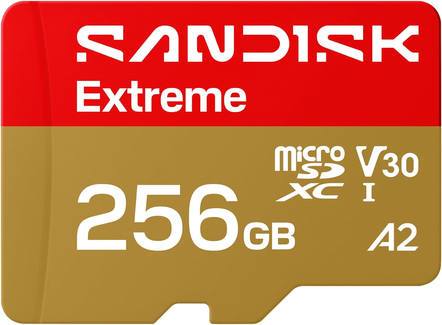Best SD Cards MicroSD 2026: Top Picks and Buying Guide