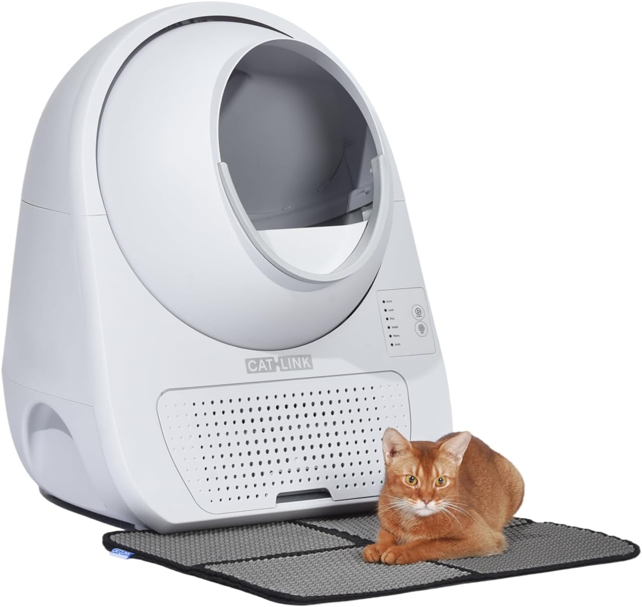 Catlink Self-Cleaning Litter Box Pro Review: Hands-Free